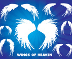Wings of Heaven