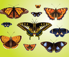 Realistic Butterfly Vectors
