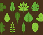 Green Leaves Icons