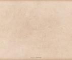 Soft Vector Grunge Texture