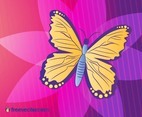 Butterfly Vector Illustration