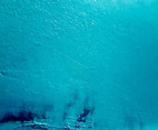 Free Vector Blue Texture background