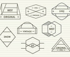 Set Of Modern Trendy Blason Vector