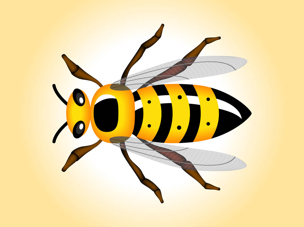 Wasp Vector