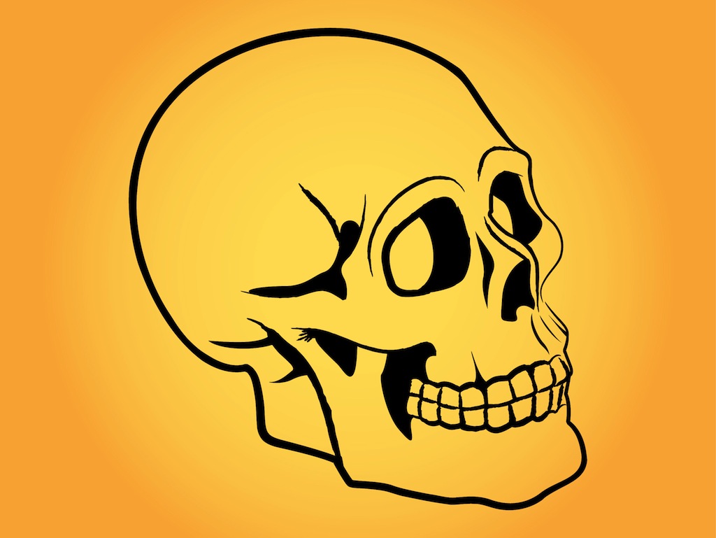 Stylized Human Skull