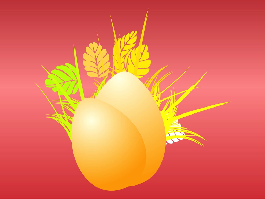 Eggs In Grass