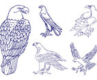 Eagle Graphics Set
