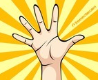 Hand Palm Vector
