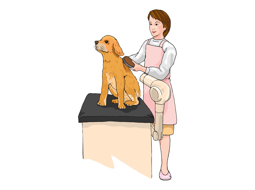 Dog Stylist Graphics