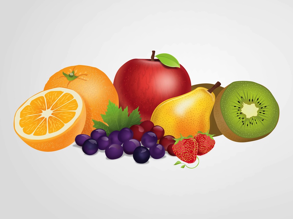 Fruit Composition Vector Art & Graphics | freevector.com