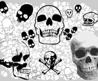Skulls Vectors
