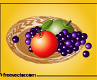 Fruit Plate Vector