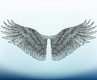 Bird Wings Image