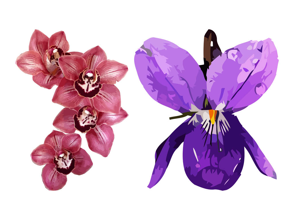 Download Spring Flowers Graphics Design Vector Art & Graphics ...