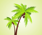 Vector Palms