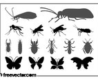 Insects Graphics Set
