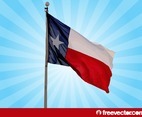 Texas Flag Vector