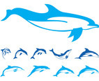 Dolphins Graphics Set