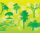 Free Tree Vector Illustrations