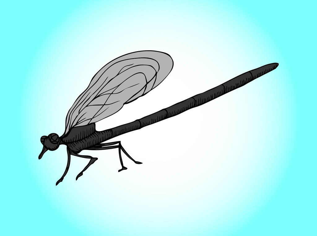 Cartoon Dragonfly Graphics Vector Art & Graphics 