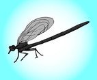 Cartoon Dragonfly Graphics