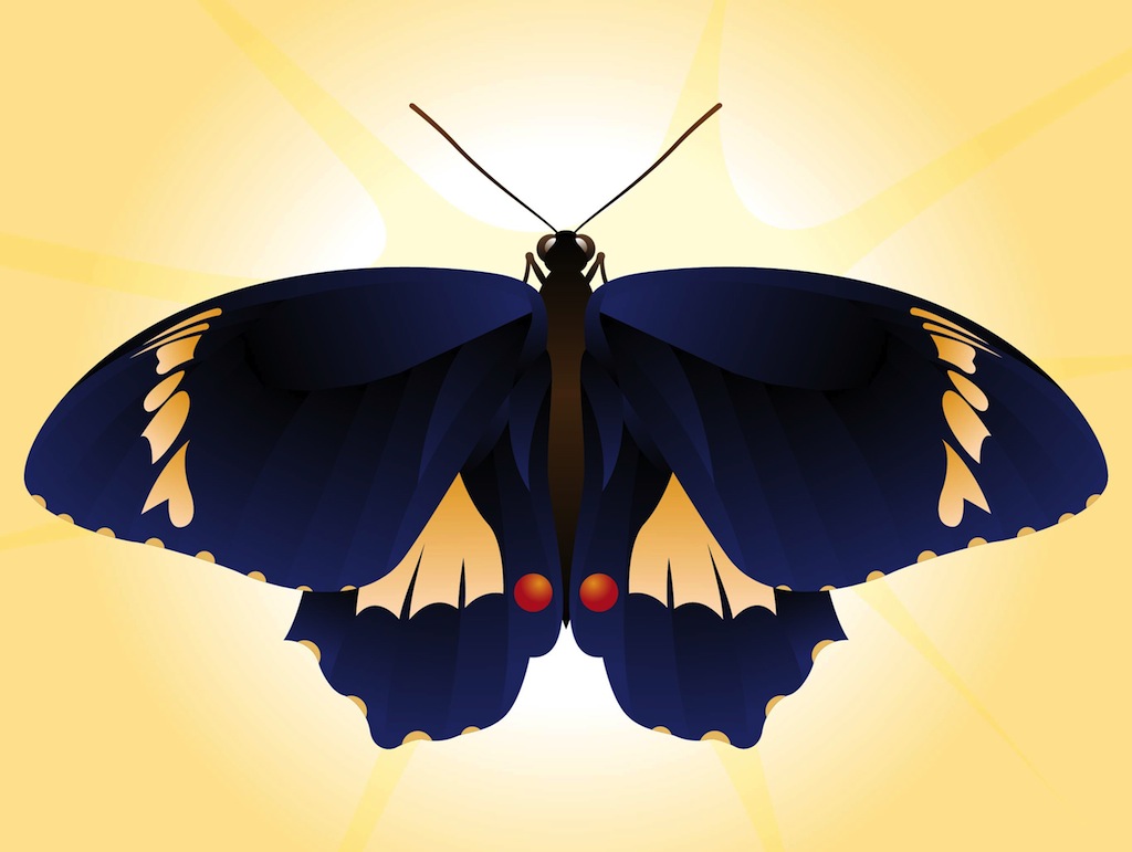 Beautiful Butterfly Vector Vector Art & Graphics 