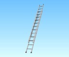 Vector Ladder
