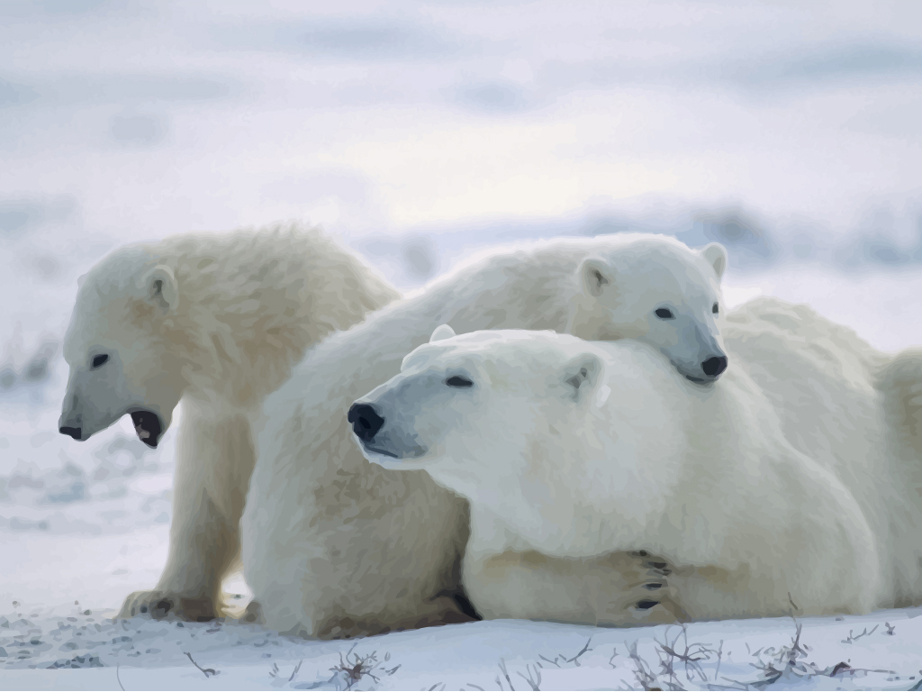 Polar bear reflection on crystal clear Arctic ice Daily Mail uk
