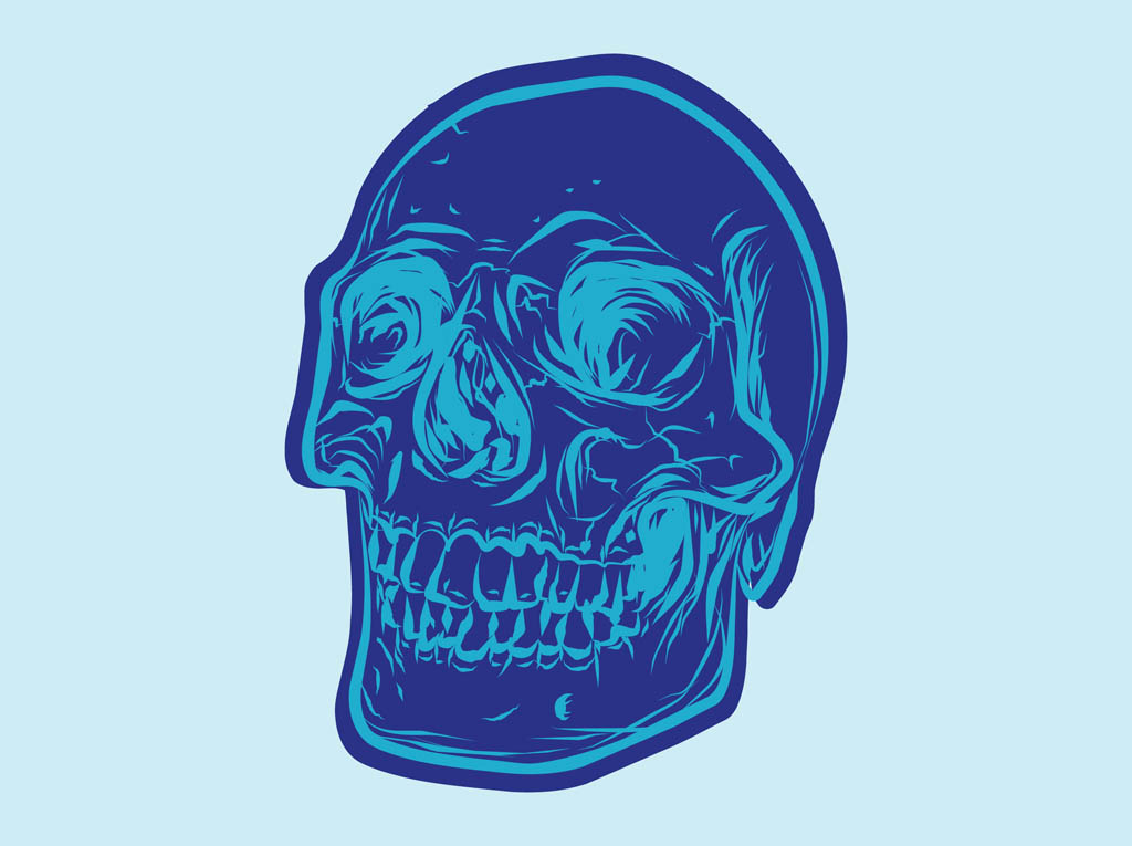 Skull Drawing Vector