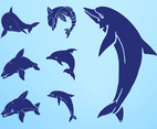 Dolphin Silhouettes Set