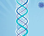 Vector DNA