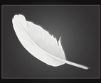 Vector Feather
