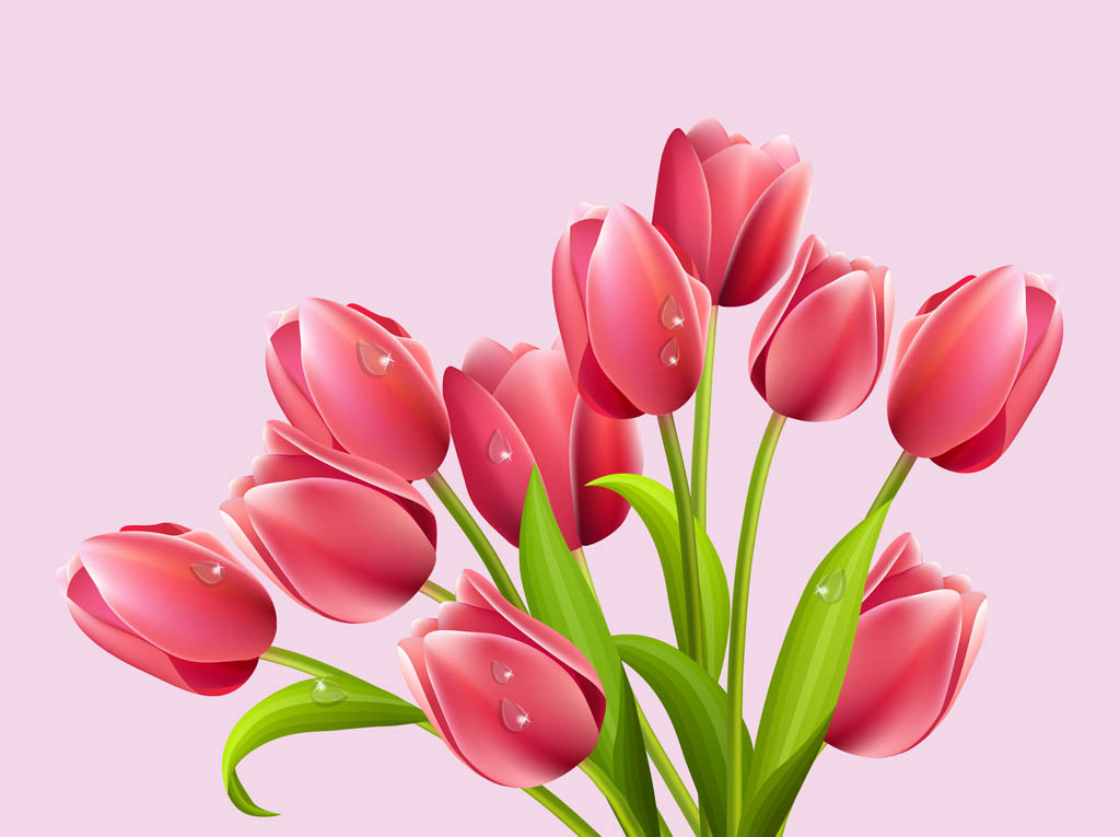 Vector Tulips