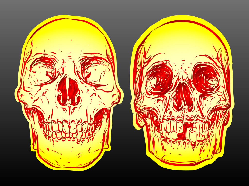 Skull Vectors