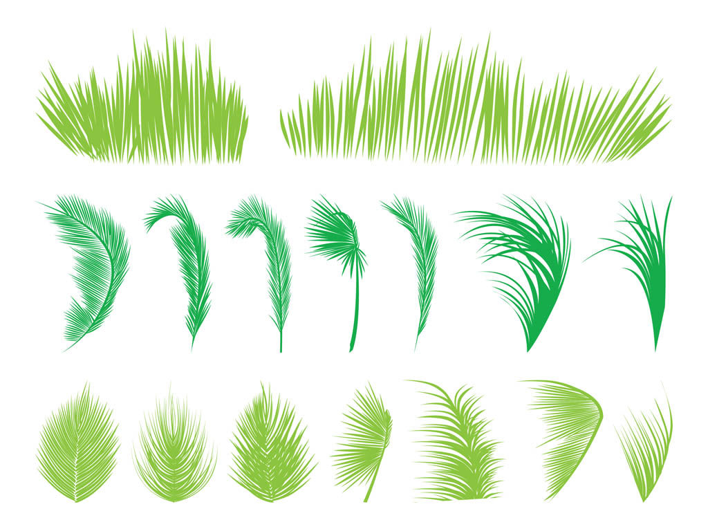 Palm Tree Leaves Vector Art & Graphics | freevector.com