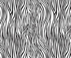 Zebra Pattern