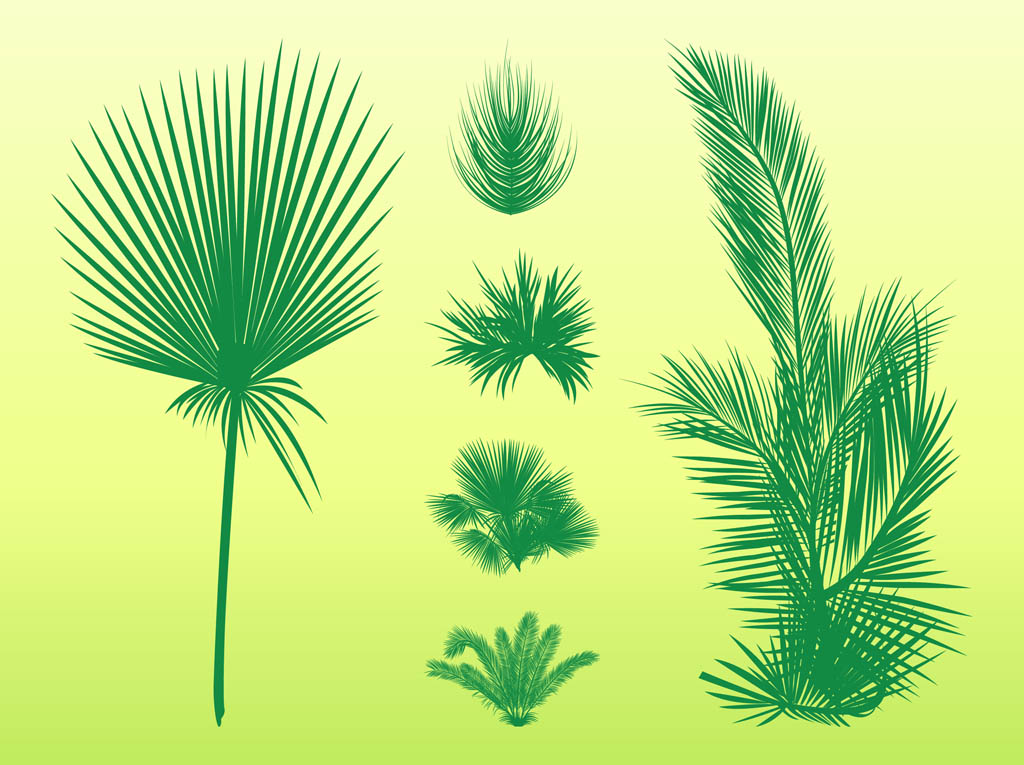 Palm Leaves Set