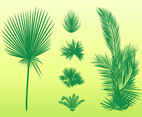 Palm Leaves Set