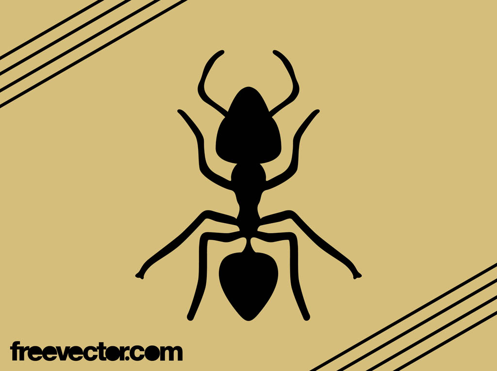 Ant Vector Graphics