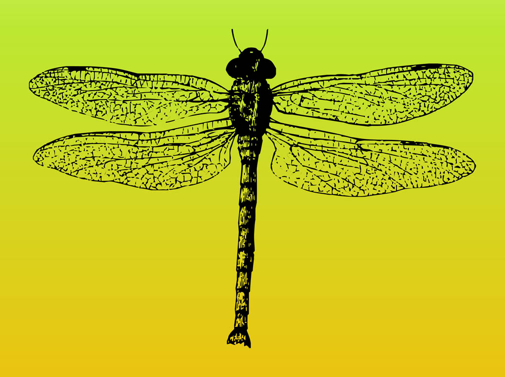 Dragonfly Vector Vector Art & Graphics