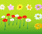 Spring Floral Graphics