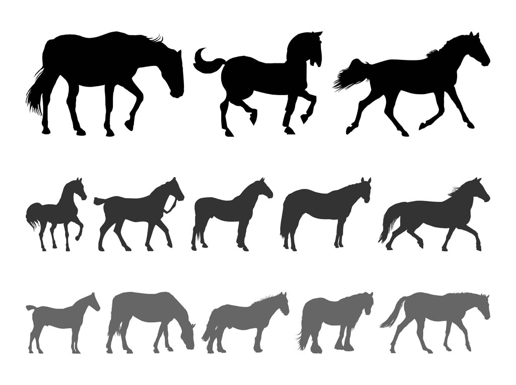 Download Horse Silhouettes Set Vector Art & Graphics | freevector.com