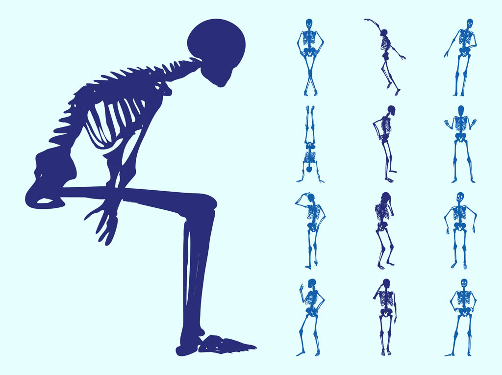 Human Skeletons Silhouettes