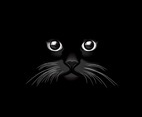 Black Cat Vector