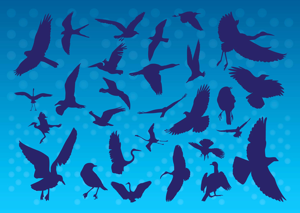 Flying Birds Silhouettes