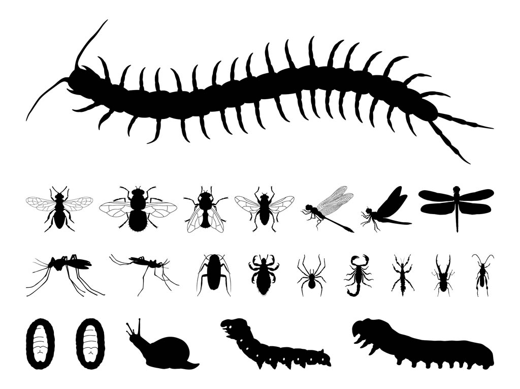 Insects Silhouettes Set
