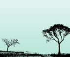 Trees Landscape