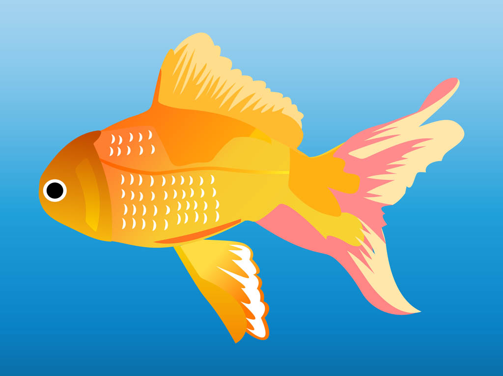 Goldfish Graphics