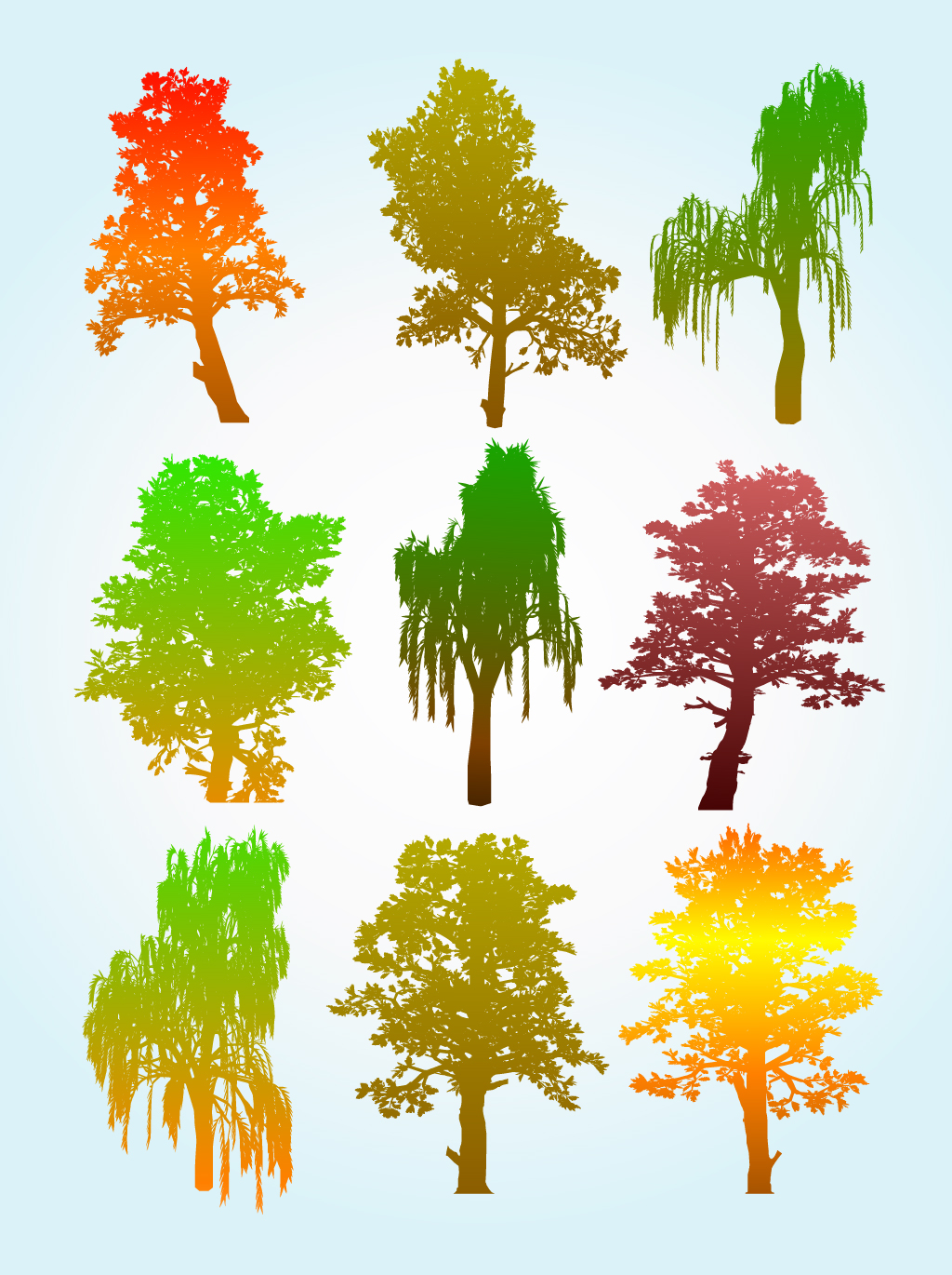 Colorful Tree Silhouette Graphics