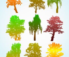 Colorful Tree Vector Art & Graphics | freevector.com